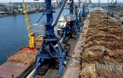 In December 2020, the export price of Russian logs increased